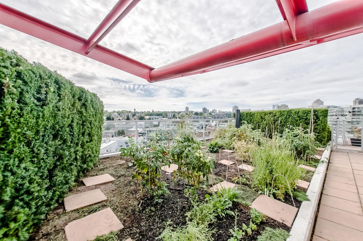 PH 1101 - 1887 Crowe St, Vancouver BC 5
