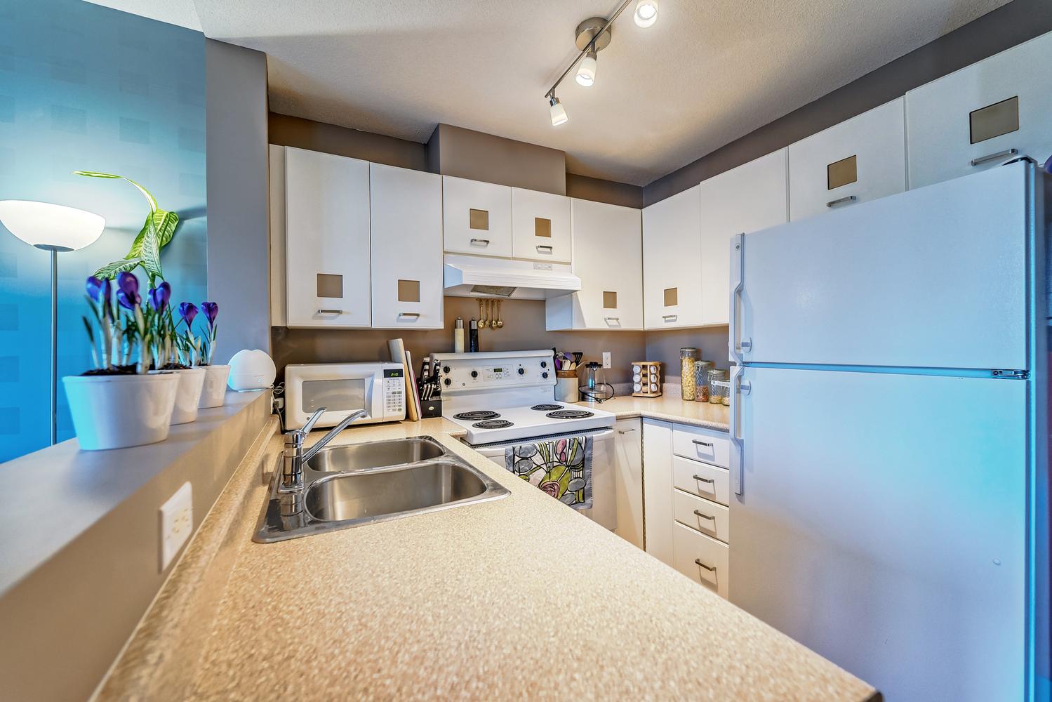 101 3438 Vanness Ave, Vancouver 7