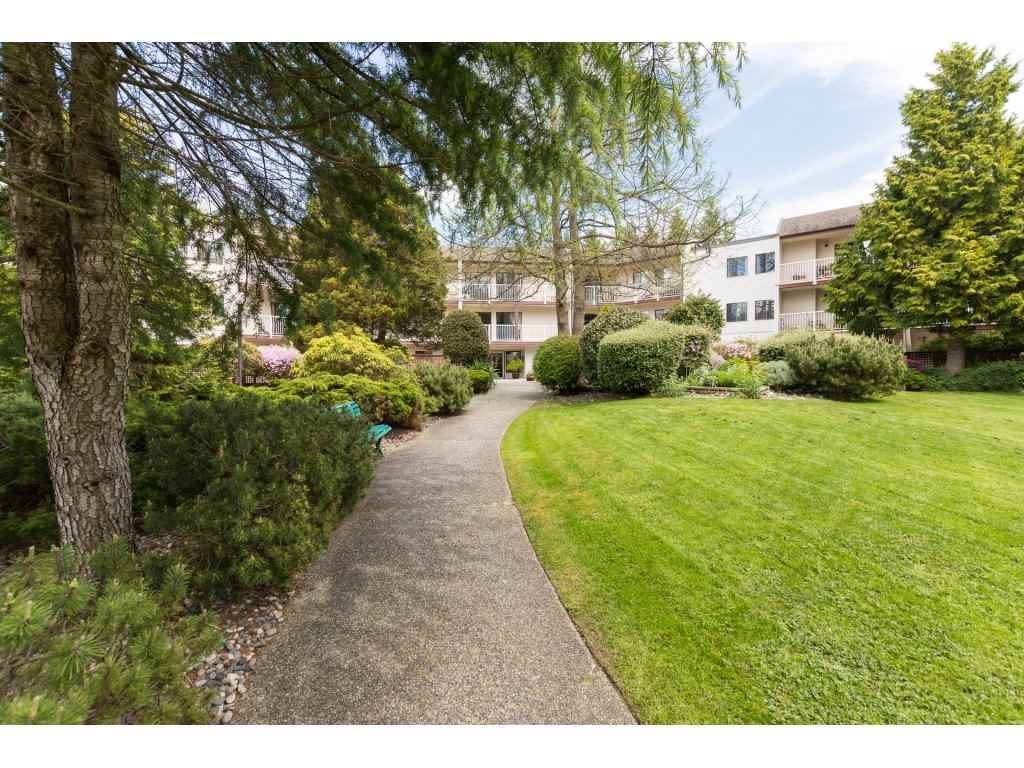 12890 17 AVENUE SURREY 19