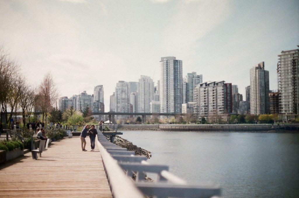 Real Estate Market Update Feb 2019
