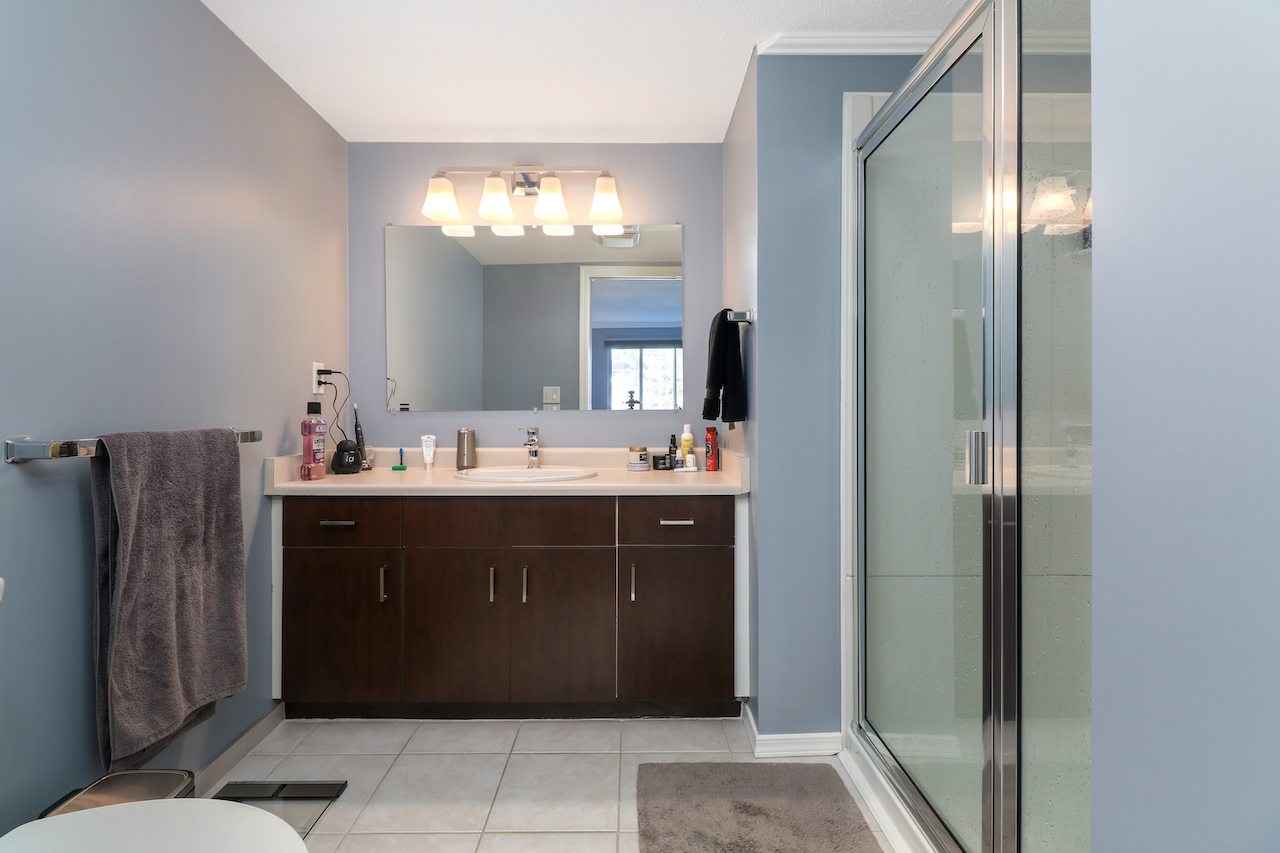 113 20140 56th Ave, Langley 15