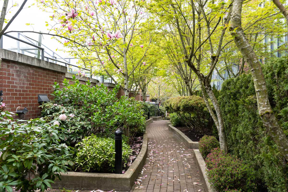 225 3228 Tupper St, Vancouver 27
