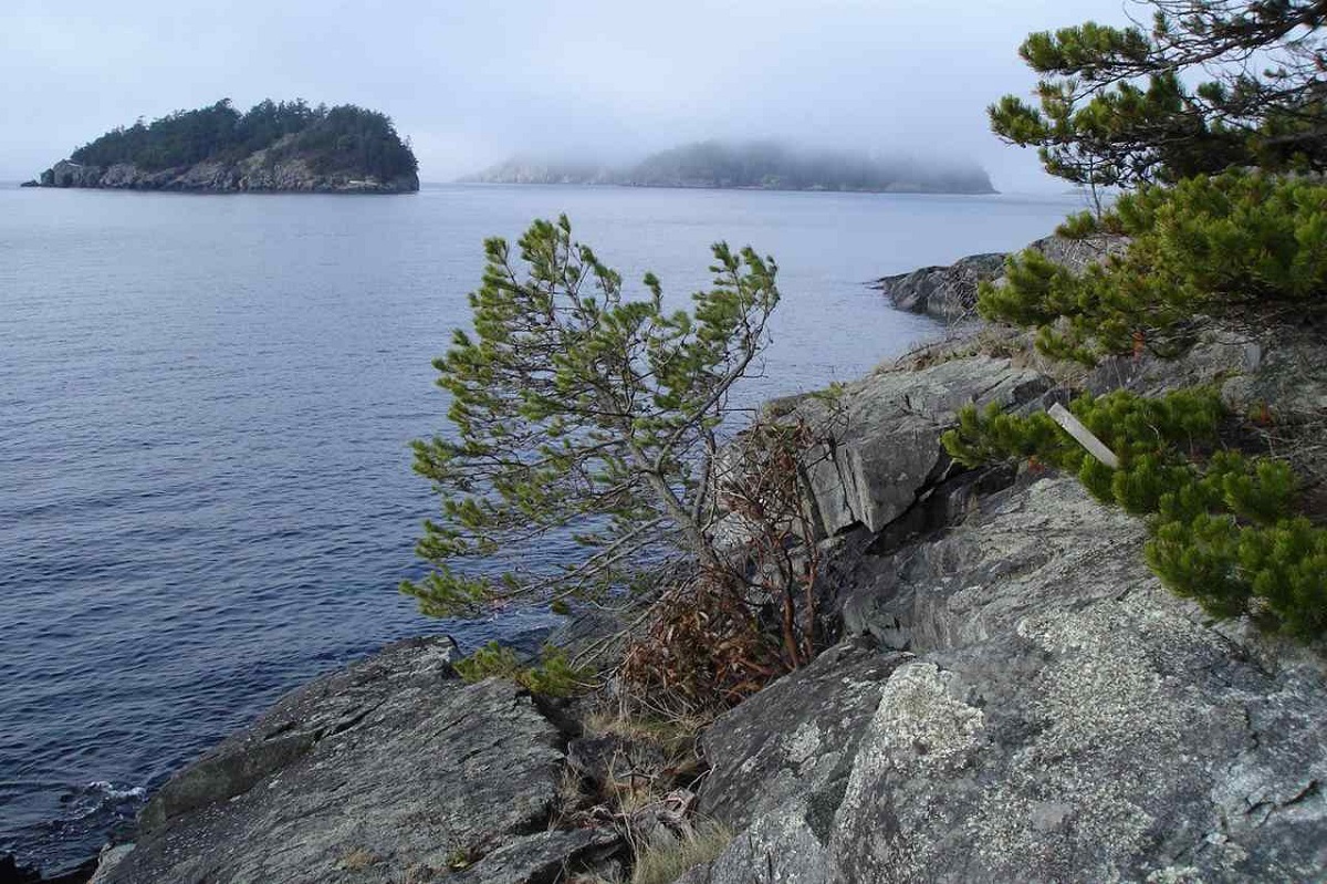 7 East Trail Island, Sunshine Coast 9