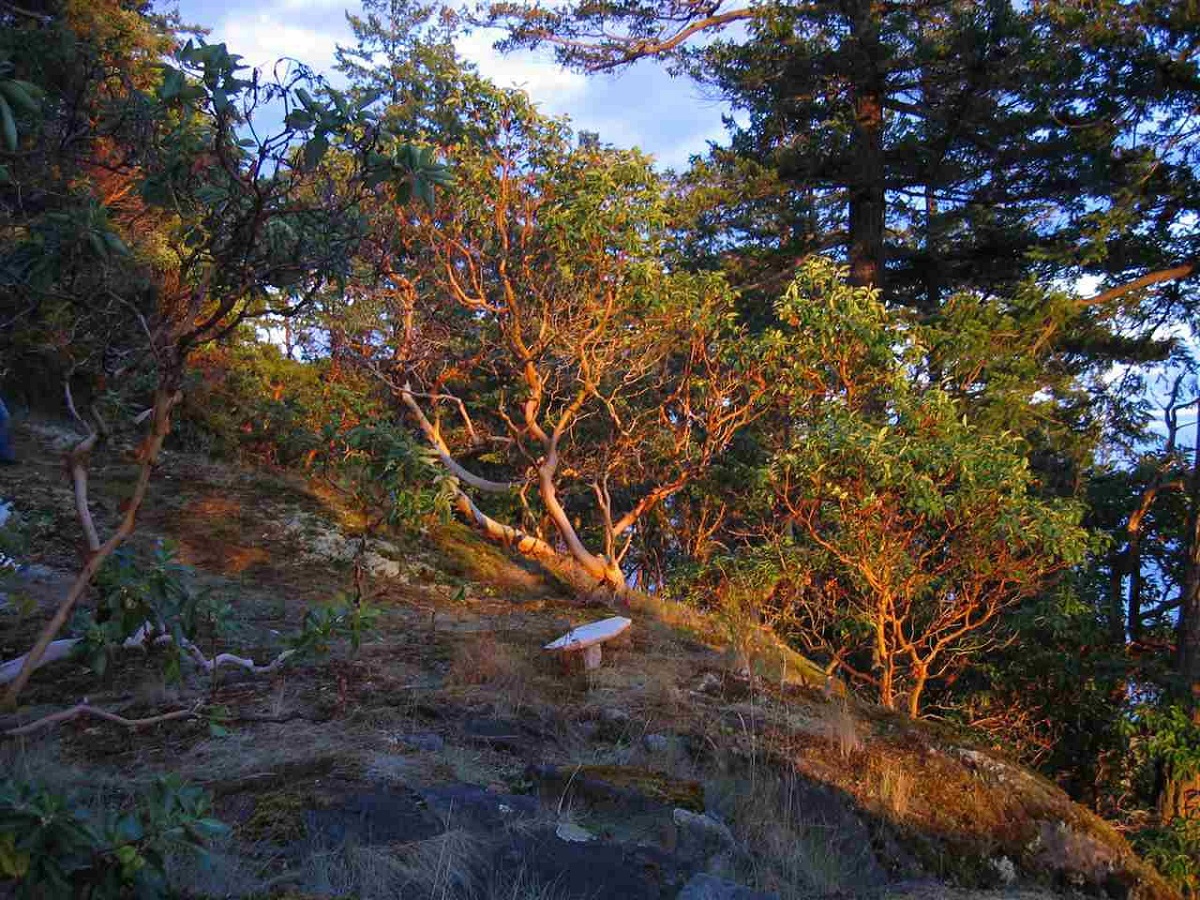 7 East Trail Island, Sunshine Coast 3