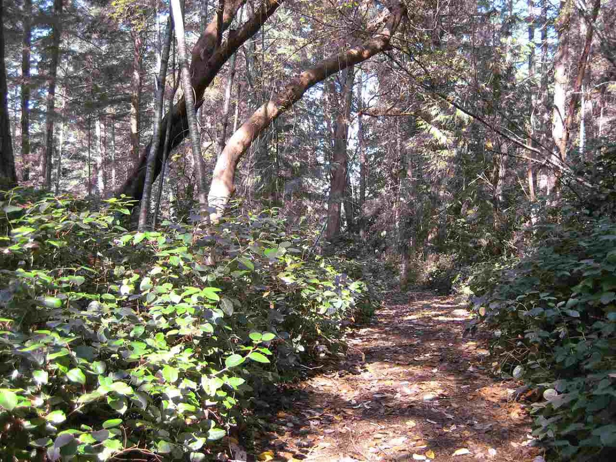 7 East Trail Island, Sunshine Coast 2