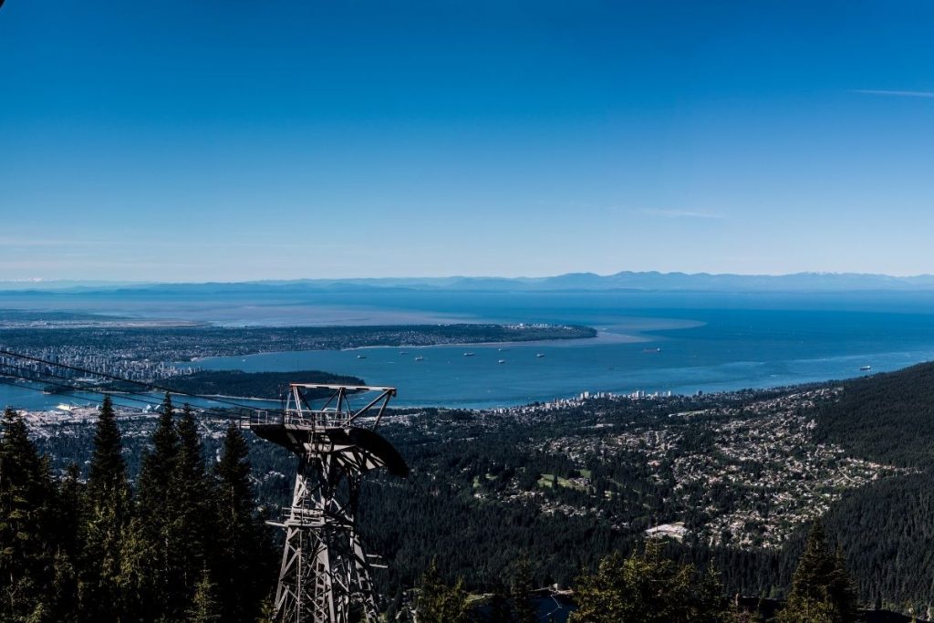 Real Estate Market Update May 2022