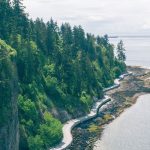 Real Estate Market Update July 2022