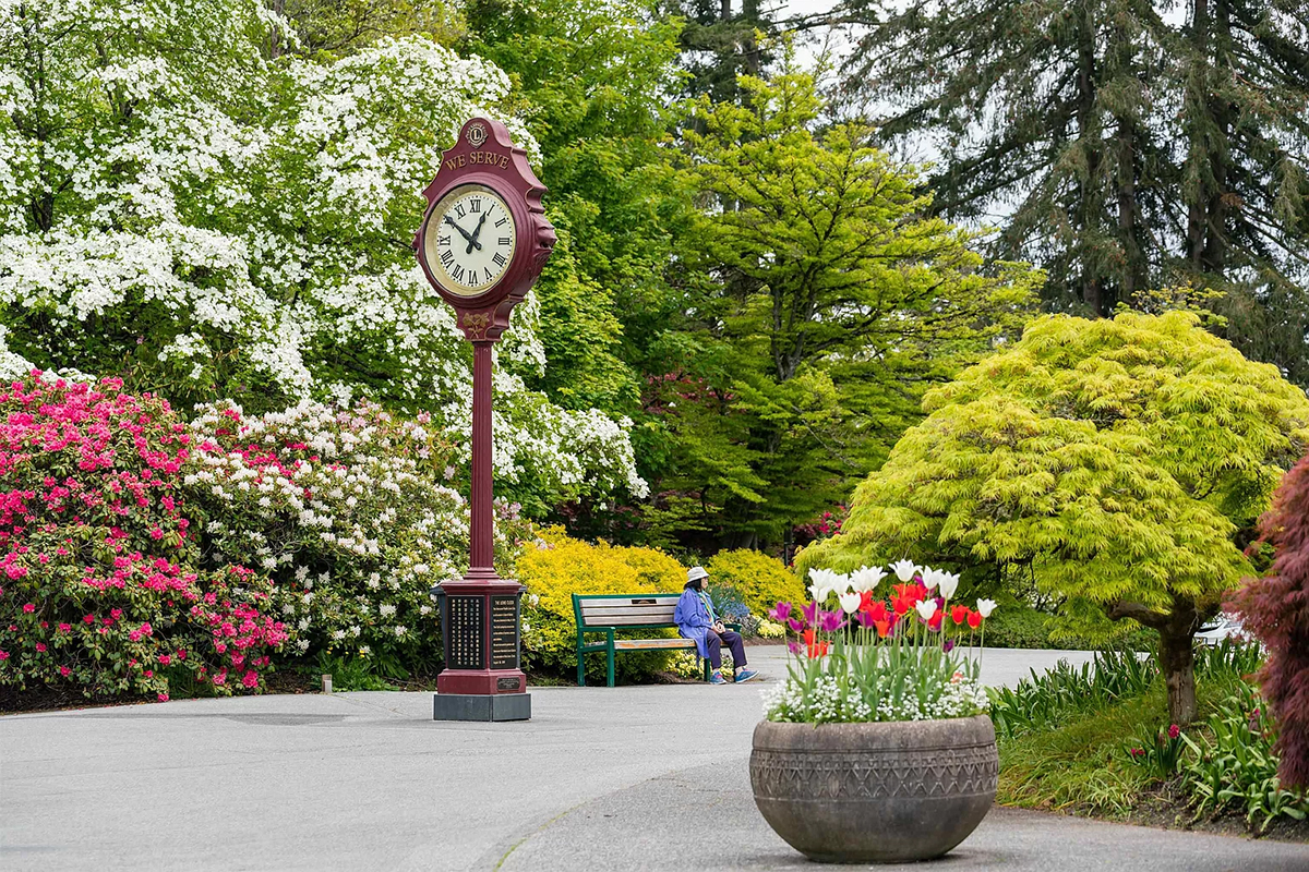 3444 Heather Street, Vancouver 37