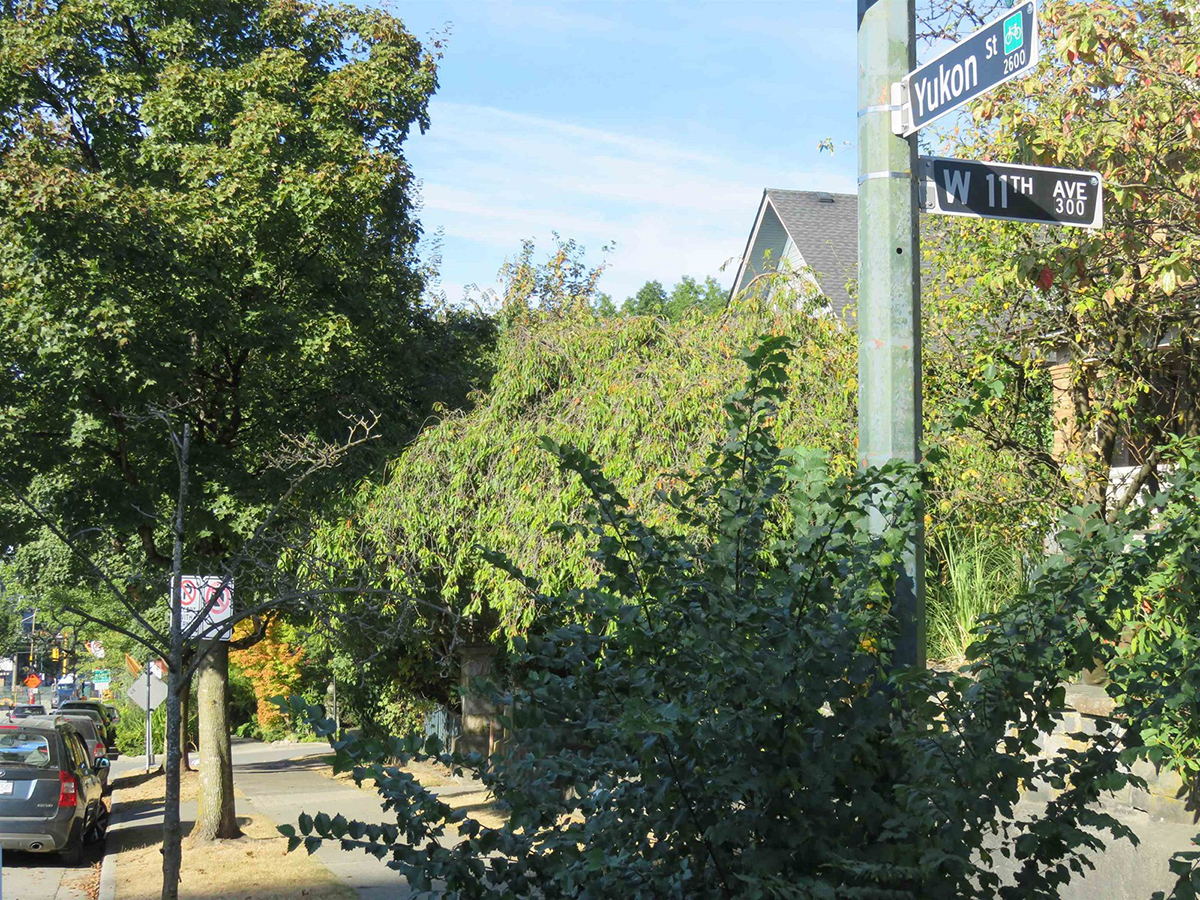 353 W 11th Avenue, Vancouver 33