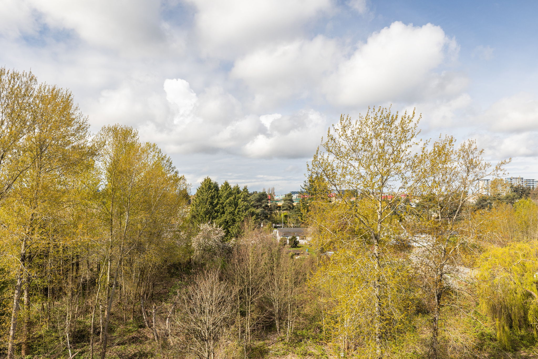 511 9213 ODLIN ROAD 25