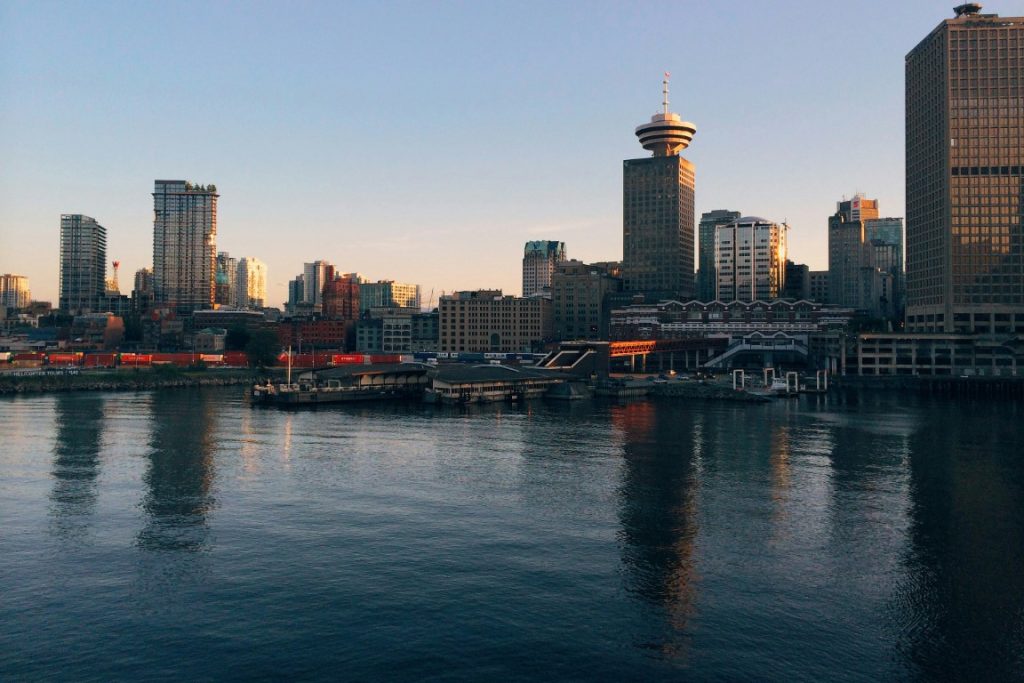 Real Estate Market Update November 2024