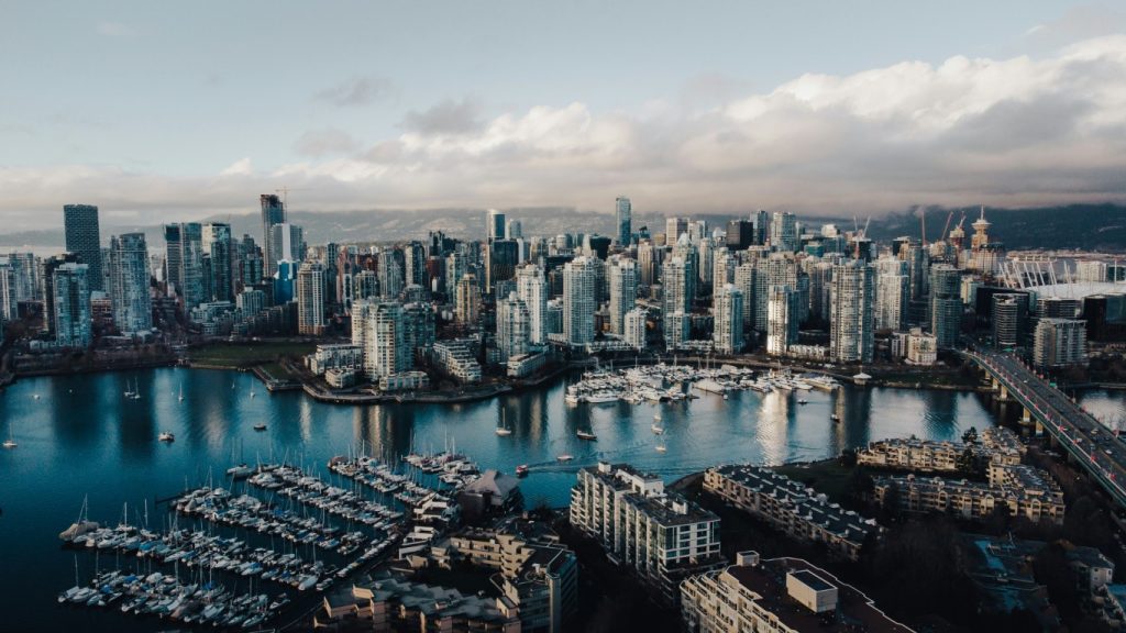 Real Estate Market Update November 2025